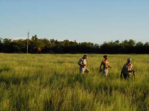Safari Lake Cruise - Lake Kariba Wandelsafari Matusadona Zimbabwe